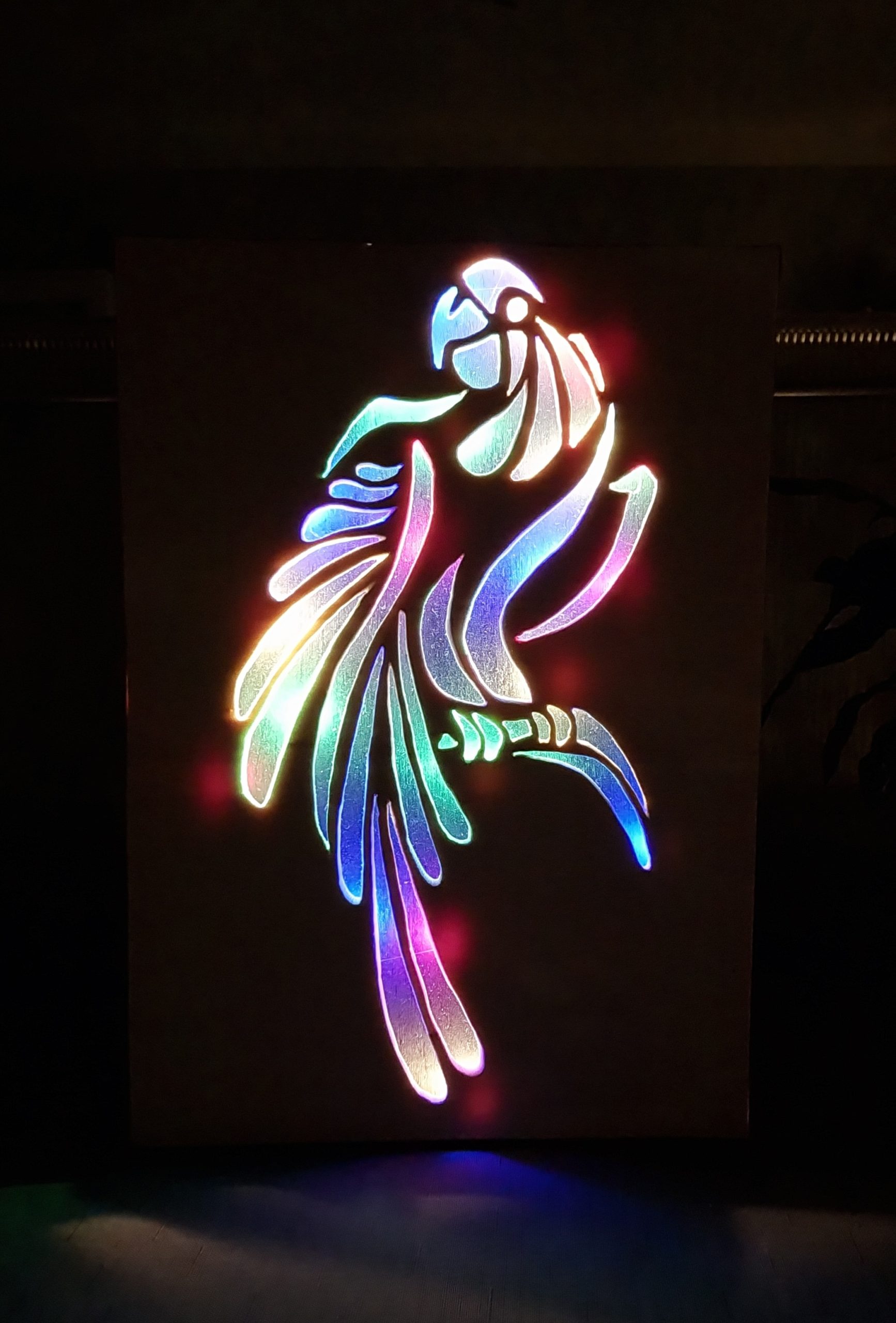 Lightbox Papagei – Bild 2